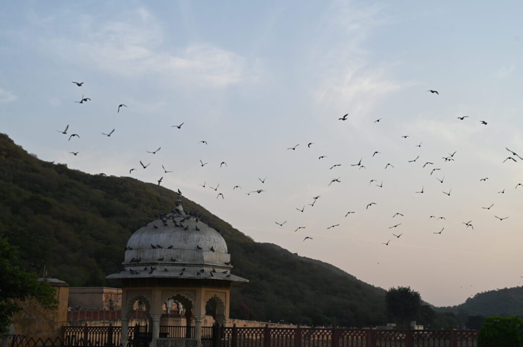 The Power of Mindfulness in Personal Development